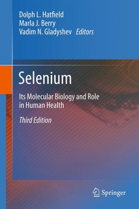 bokomslag Selenium