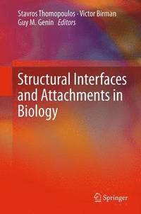 bokomslag Structural Interfaces and Attachments in Biology