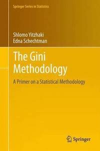 bokomslag The Gini Methodology