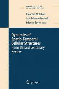 bokomslag Dynamics of Spatio-Temporal Cellular Structures