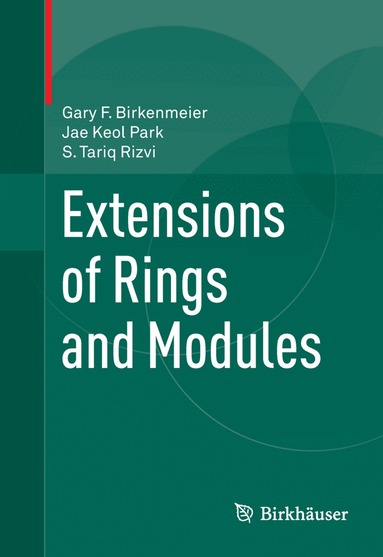 Gary F. Birkenmeier, Jae Keol Park, S Tariq Rizvi - Extensions of Rings and Modules, Häftad
