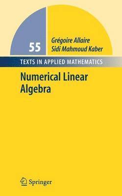 bokomslag Numerical Linear Algebra