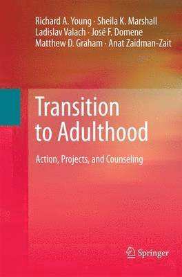 bokomslag Transition to Adulthood