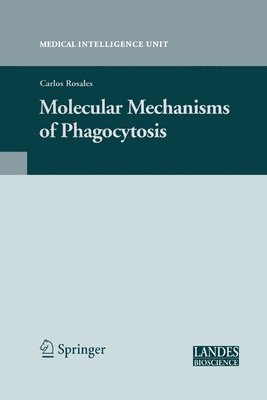 bokomslag Molecular Mechanisms of Phagocytosis