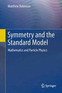 bokomslag Symmetry and the Standard Model