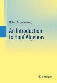 bokomslag An Introduction to Hopf Algebras