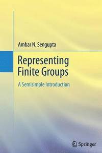 bokomslag Representing Finite Groups
