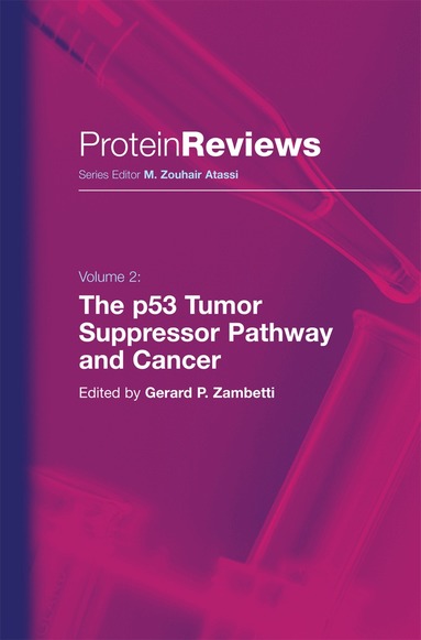 Gerard P. Zambetti - p53 Tumor Suppressor Pathway and Cancer, Häftad