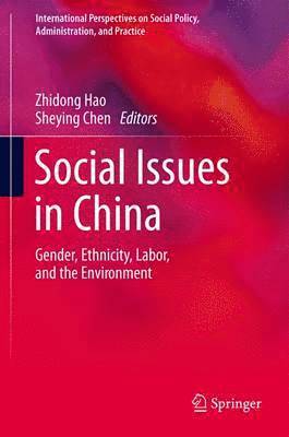 bokomslag Social Issues in China