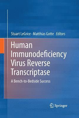 bokomslag Human Immunodeficiency Virus Reverse Transcriptase