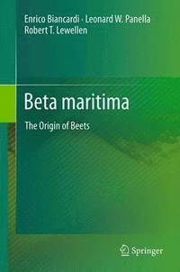 bokomslag Beta maritima