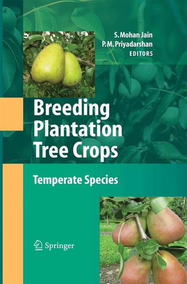 Shri Mohan Jain, P.M. Priyadarshan - Breeding Plantation Tree Crops: Temperate Species, Häftad