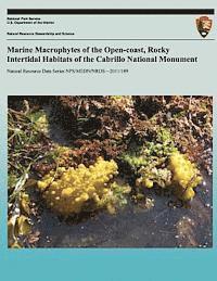 bokomslag Marine Macrophytes of the Open-coast, Rocky Intertidal Habitats of the Cobrillo