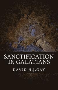 David H. J. Gay - Sanctification in Galatians, Häftad