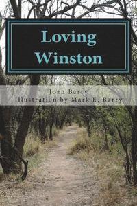 bokomslag Loving Winston