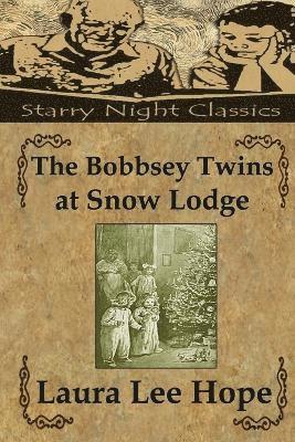 The Bobbsey Twins at Snow Lodge 1