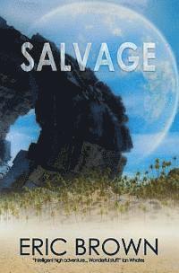 Salvage 1