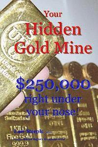 bokomslag Your Hidden Gold Mine: $250,000 right under your nose!