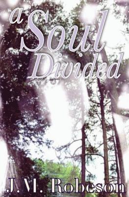 bokomslag A Soul Divided