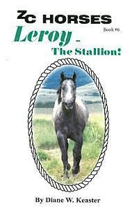 bokomslag Leroy-The Stallion