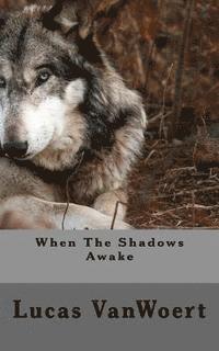 bokomslag When The Shadows Awake