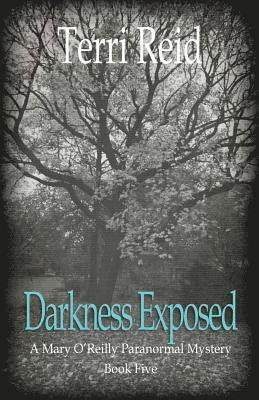 bokomslag Darkness Exposed
