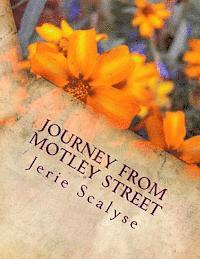 bokomslag Journey From Motley Street