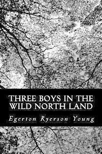 bokomslag Three Boys in the Wild North Land