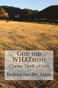 bokomslag God did WHAT: Closer look at Job