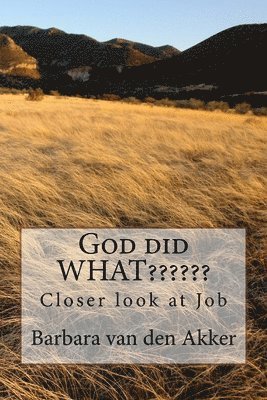 Barbara a. Van Den Akker - God did WHAT: Closer look at Job, Häftad