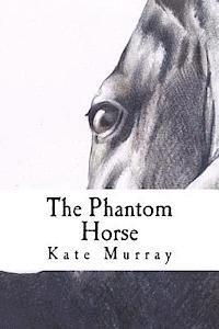 bokomslag The Phantom Horse