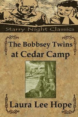 bokomslag The Bobbsey Twins at Cedar Camp