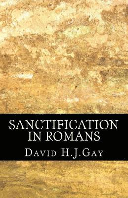 David H. J. Gay - Sanctification in Romans, Häftad