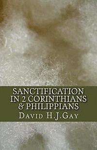 David H. J. Gay - Sanctification in 2 Corinthians & Philippians, Häftad