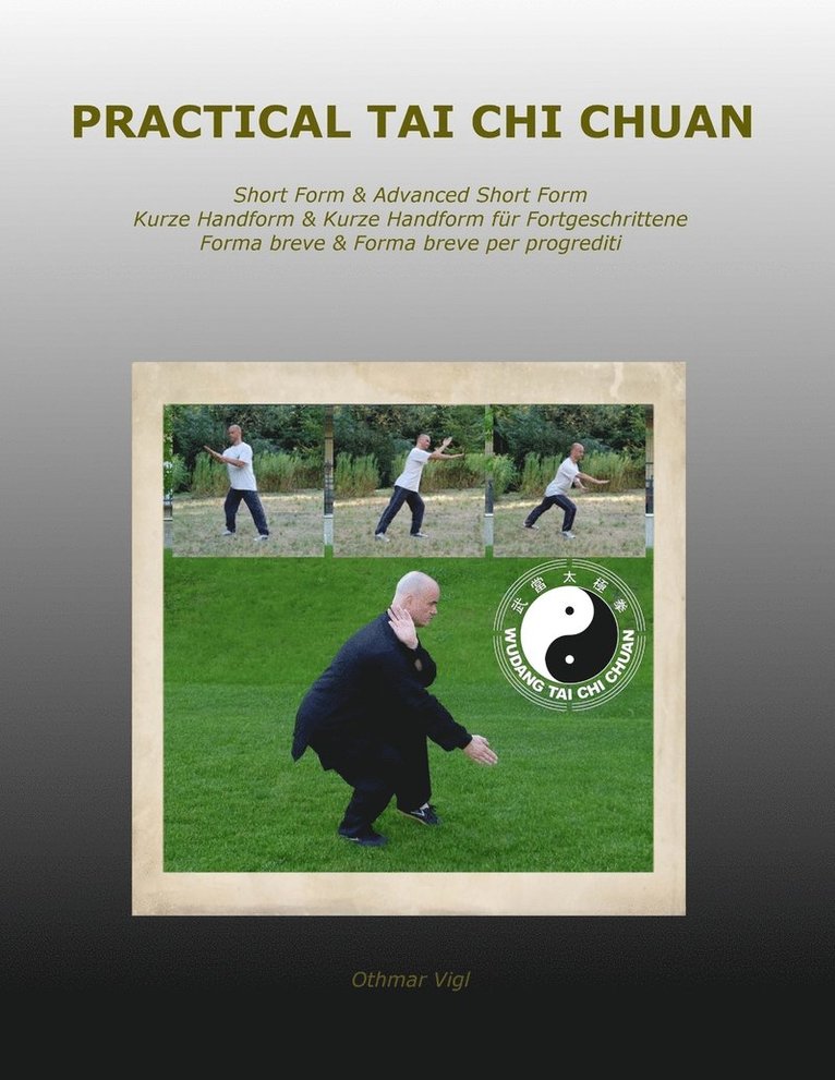 Practical Tai Chi Chuan