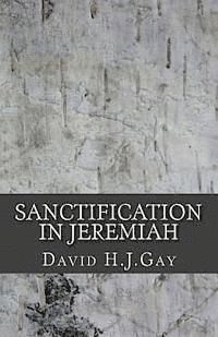 David H. J. Gay - Sanctification in Jeremiah, Häftad