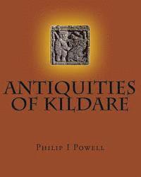 bokomslag ANTIQUITIES of KILDARE: Guide To