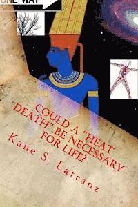bokomslag Could a "Heat Death" be Necessary for Life?: The Musings of a Panentheist