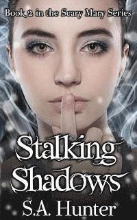 bokomslag Stalking Shadows