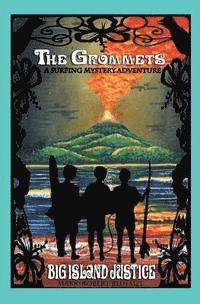 bokomslag The Grommets: : Big Island Justice