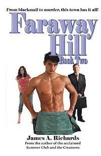 bokomslag Faraway Hill Book Two