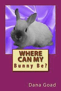 bokomslag Where Can My Bunny Be?