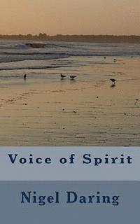 bokomslag Voice of Spirit