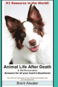 bokomslag Animal Life After Death & Pet Reincarnation: Answers for all your heart's Questions!