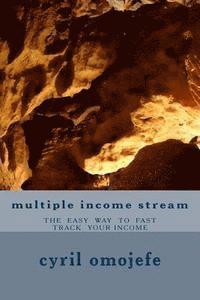 bokomslag multiple income stream