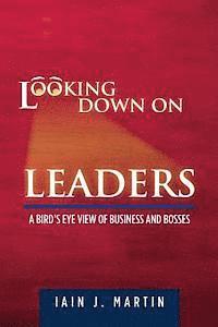 bokomslag Looking Down On Leaders: a bird's eye view of business and bosses