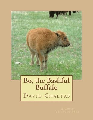 Bo, the Bashful Buffalo 1