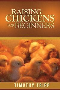 bokomslag Raising Chickens For Beginners