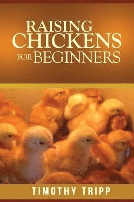 bokomslag Raising Chickens For Beginners