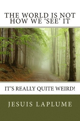 The World Is Not How We 'See' It: It's Really Quite Weird! 1